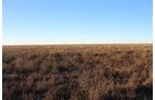 TRACT 2 - REAL ESTATE & MINERAL AUCTION - 640+/- ACRES & PRODUCING MINERALS OFFERED IN 8 TRACTS IN MORTON COUNTY, KANSAS